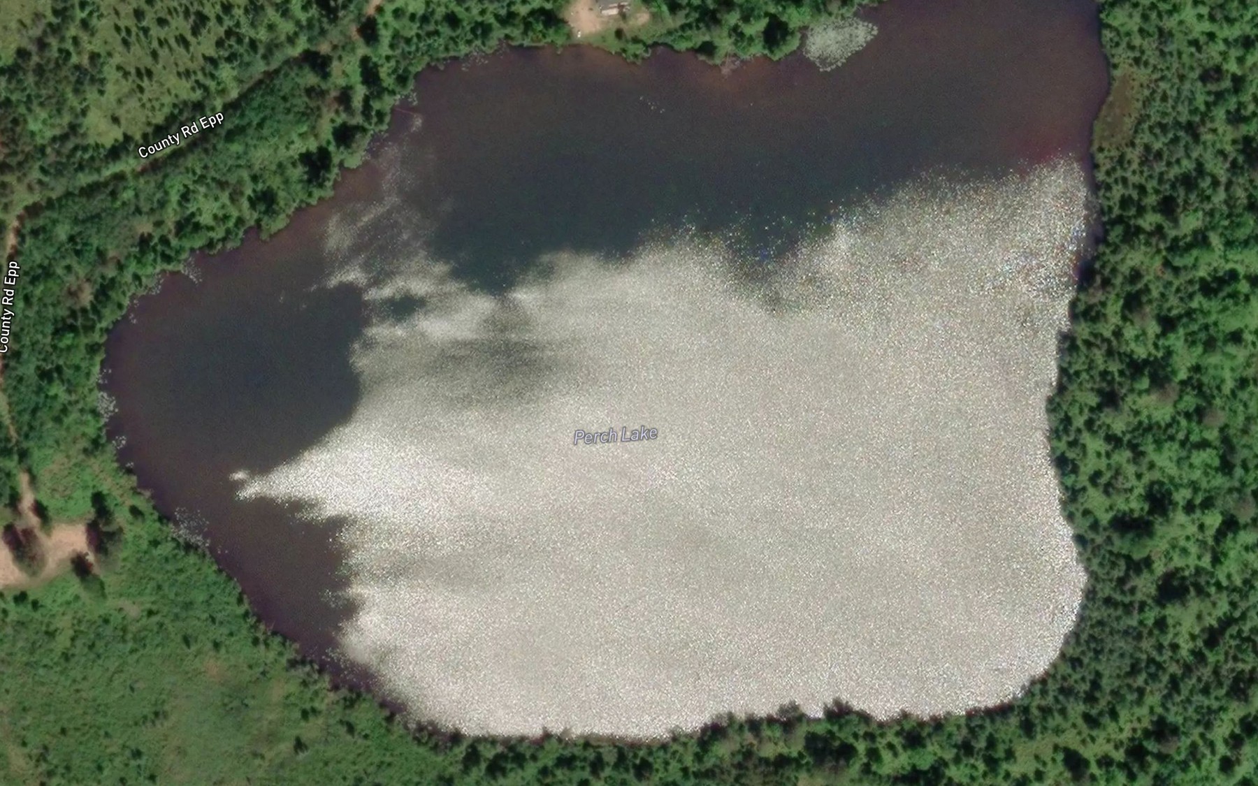 Satellite map of the Perch Lake