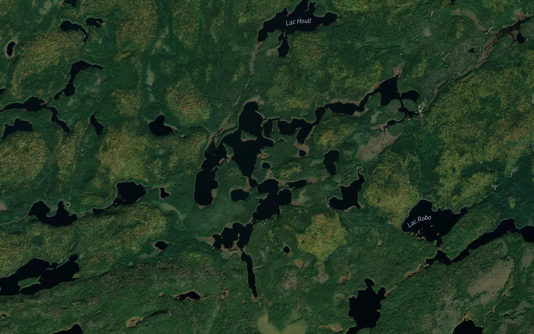 Satellite map of the Lac du Fenil