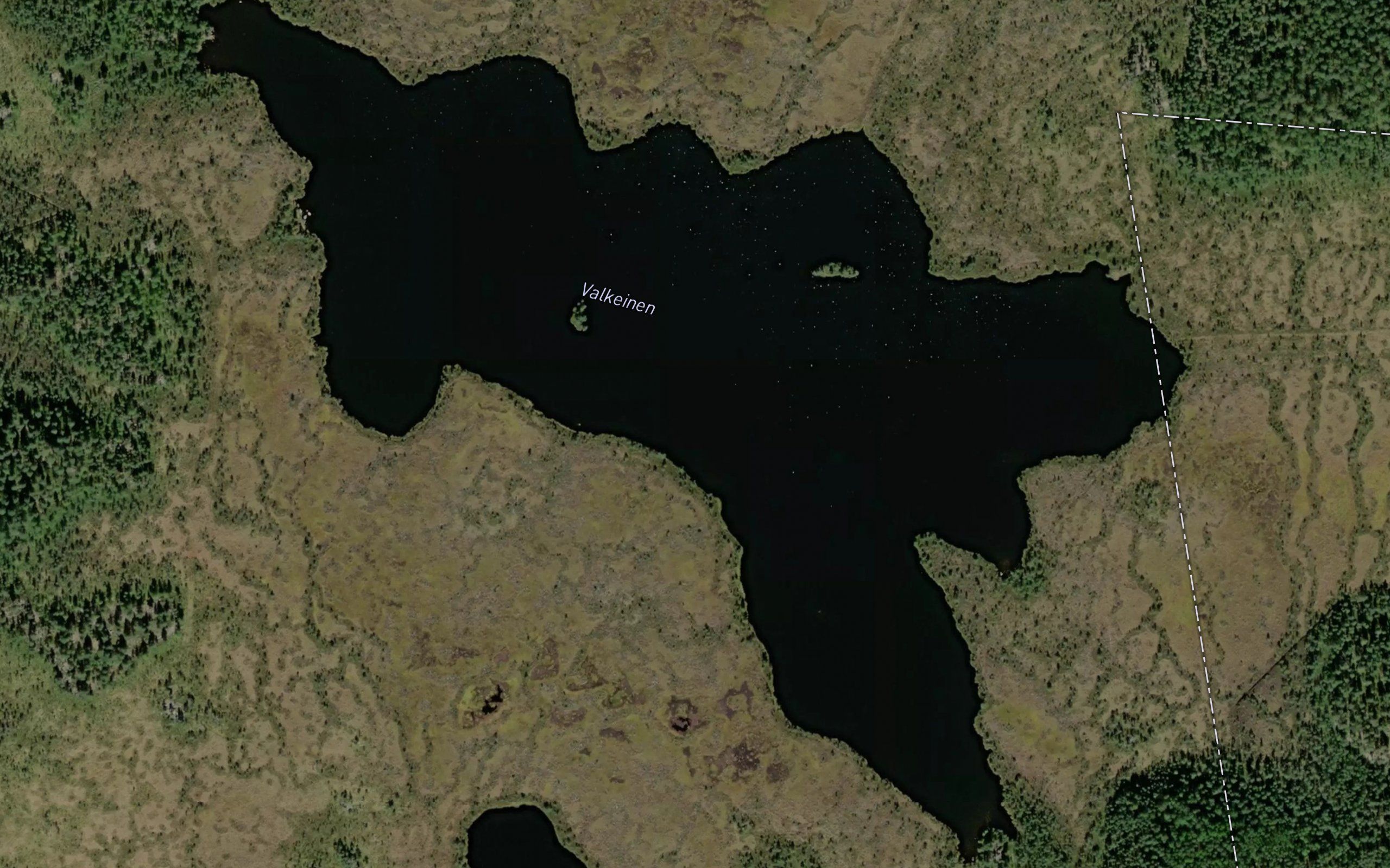 Valkeinen