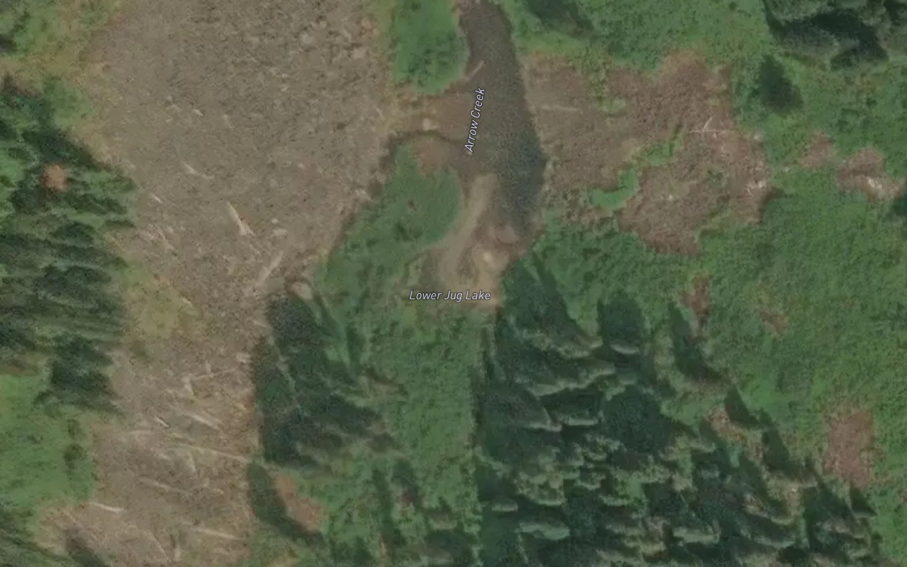 Satellite map of the Lower Jug Lake
