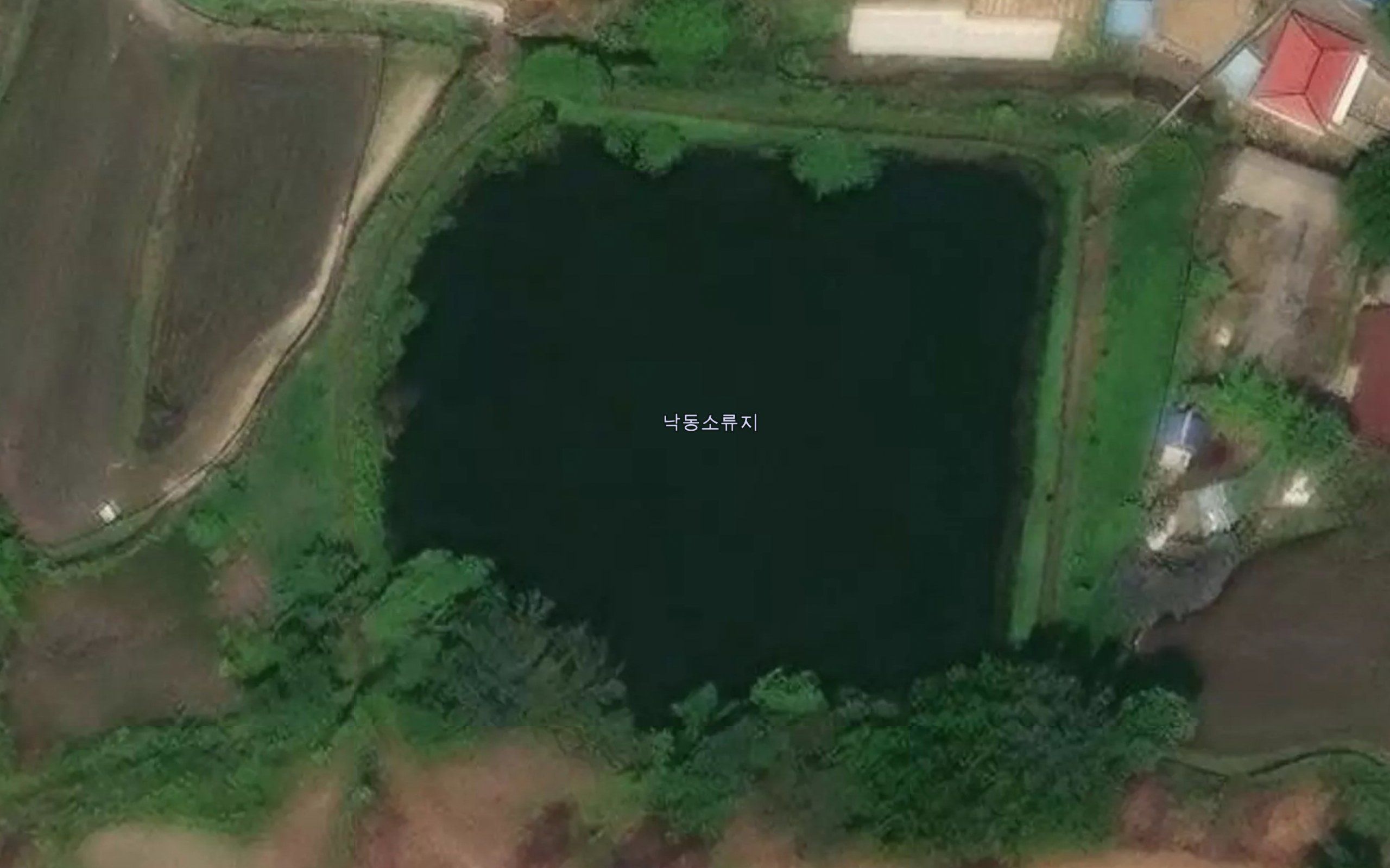 Nakdongsoryuji