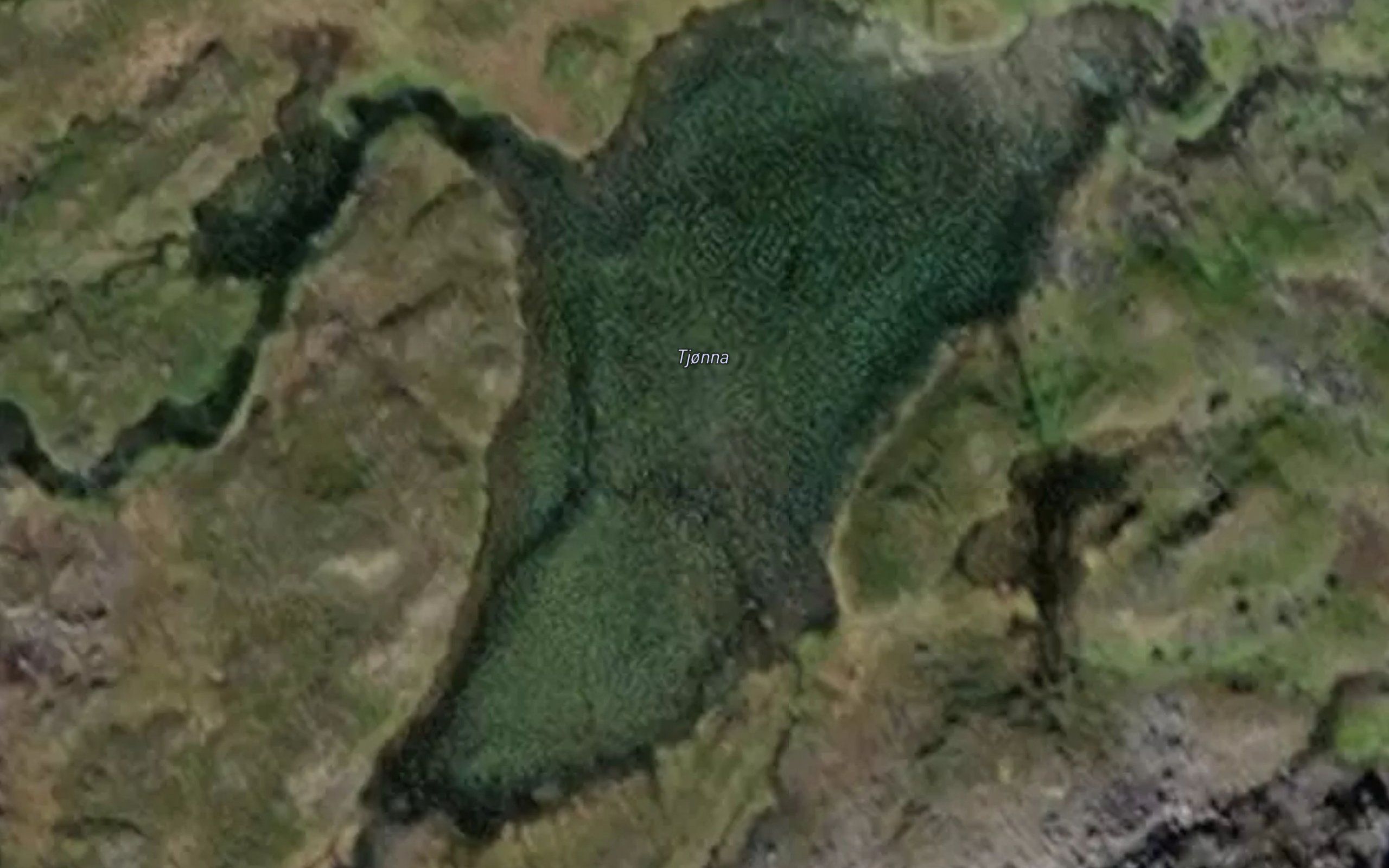 Tjonna
