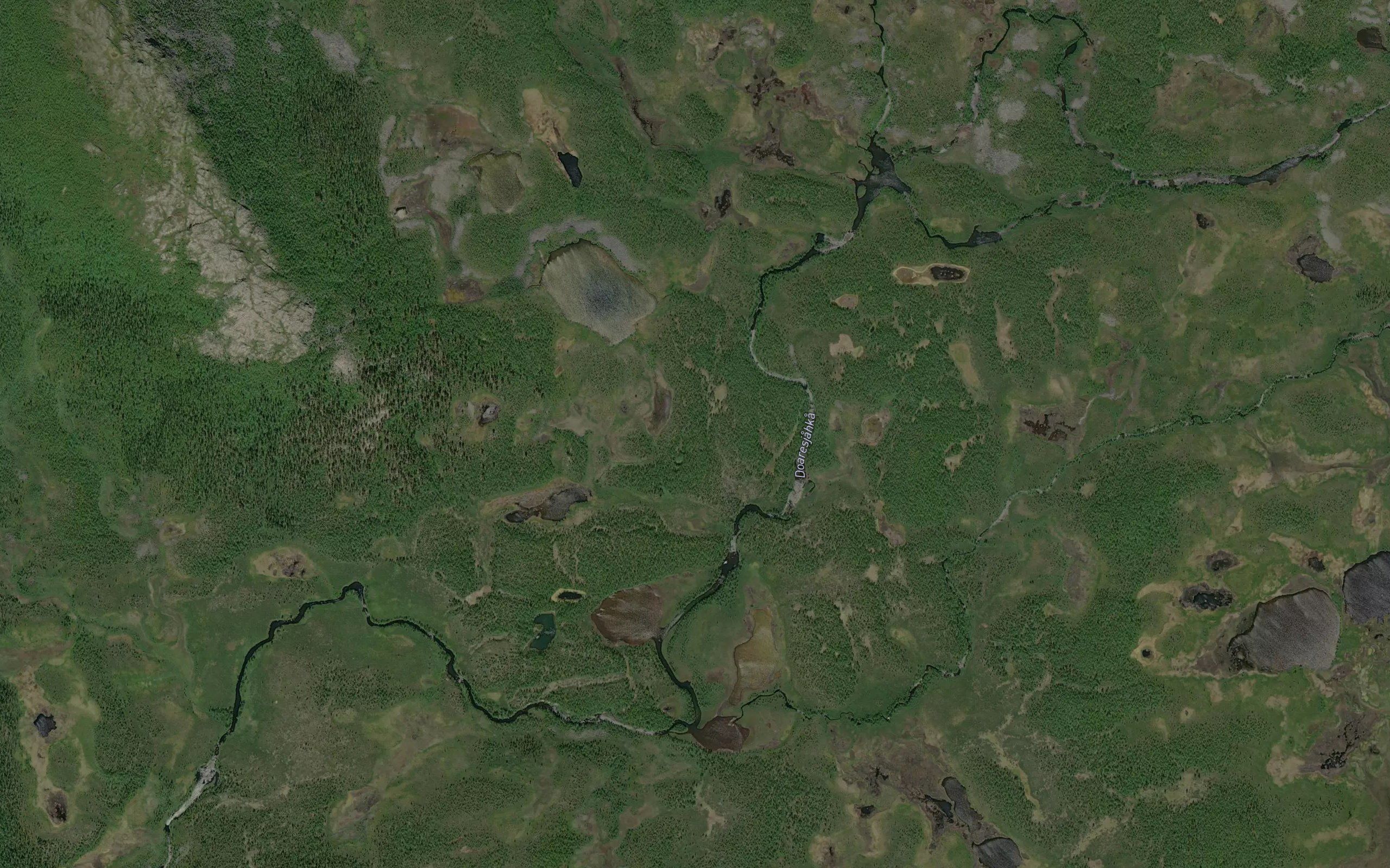 Tjalekjokk