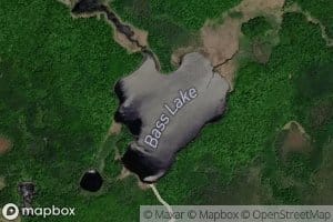 Bass Lake