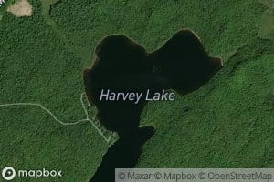 Harvey Lake