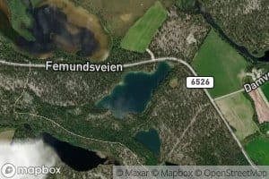Gubbtjorna