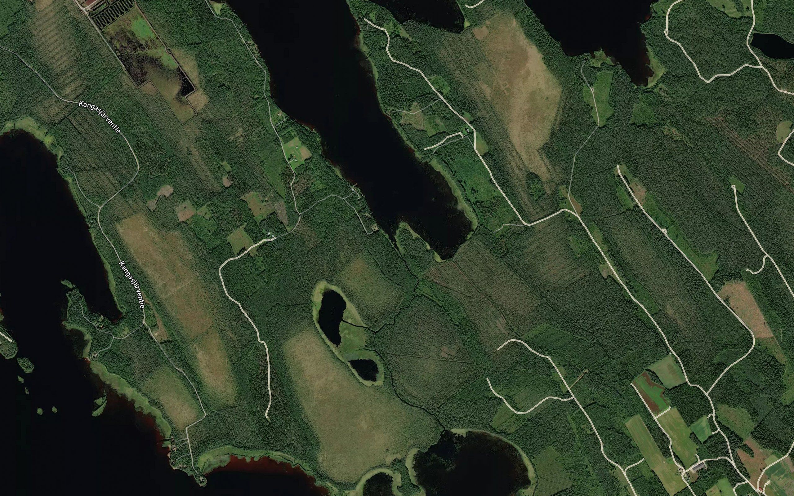 Rakkineenjoki