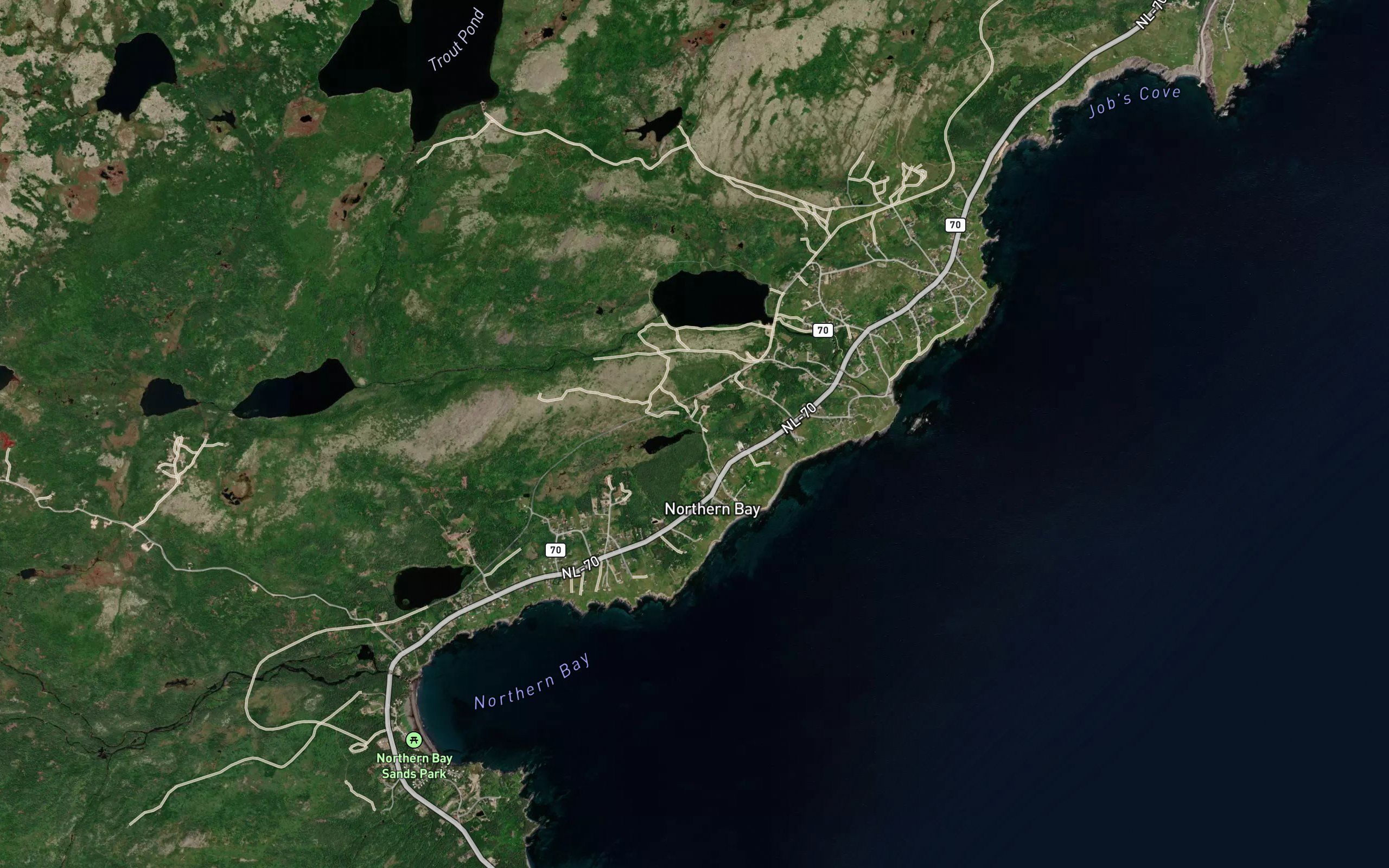 Corpus Christi Pond