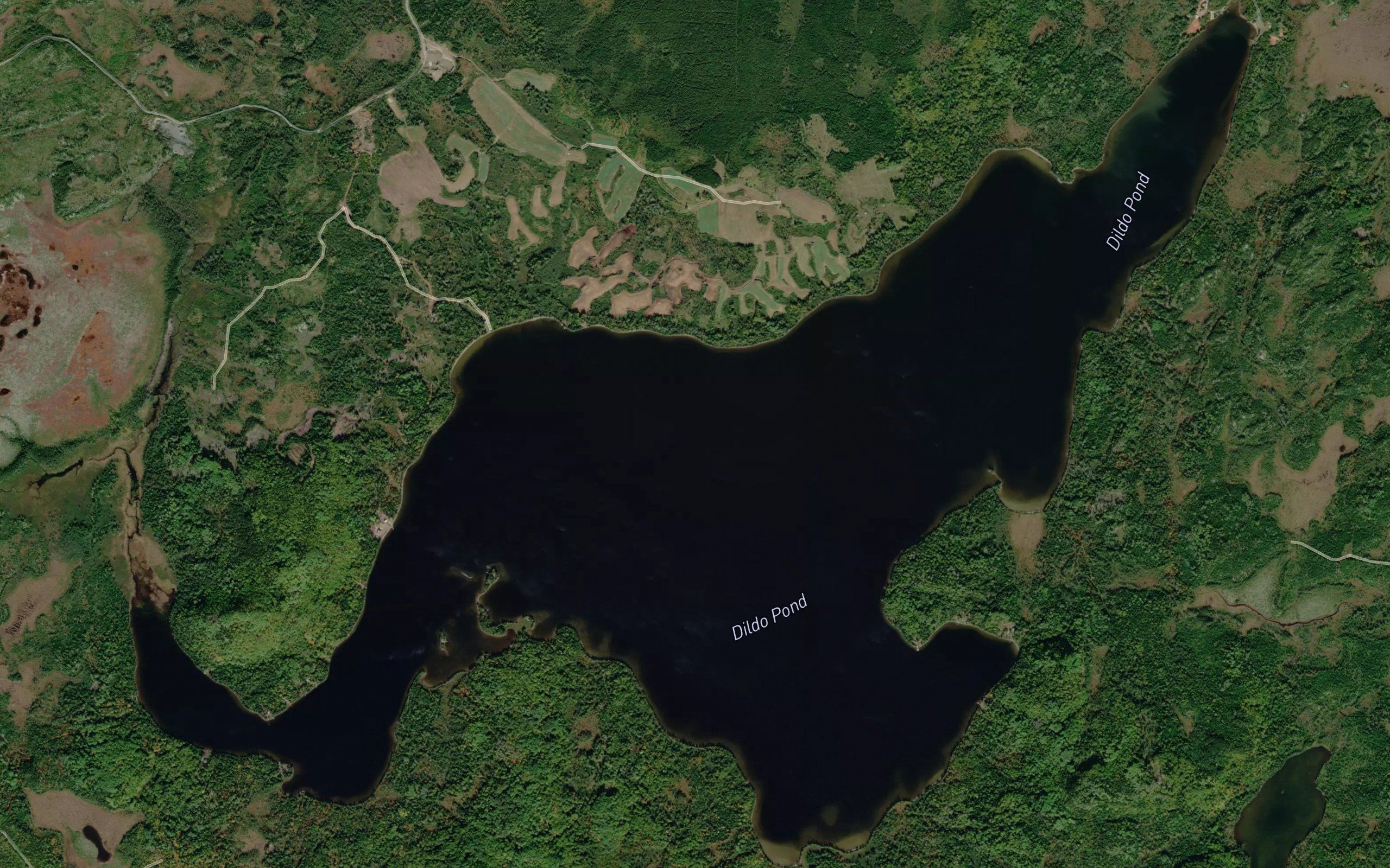 Dildo Pond