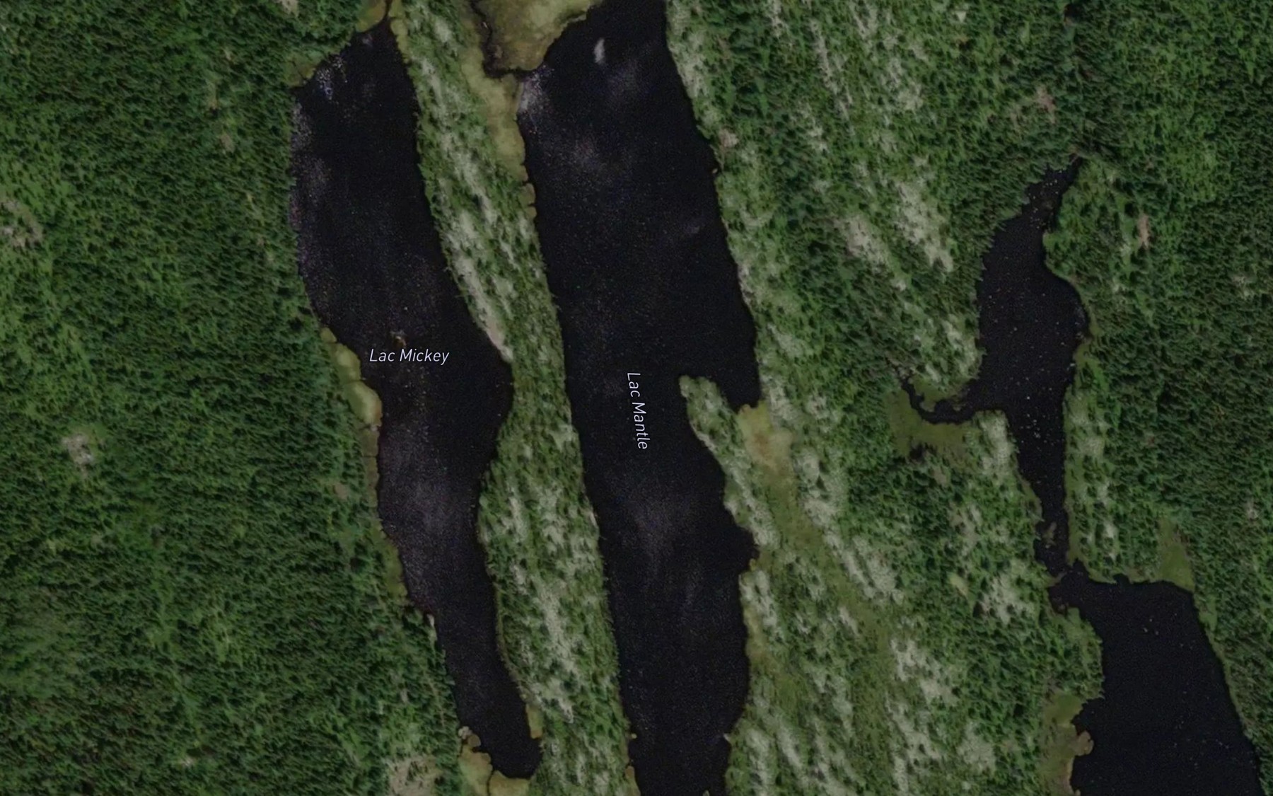 Satellite map of the Lac Mantle