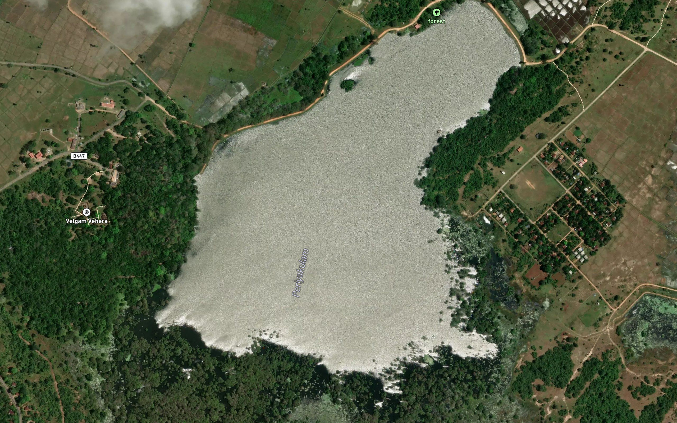 Periya Kulam