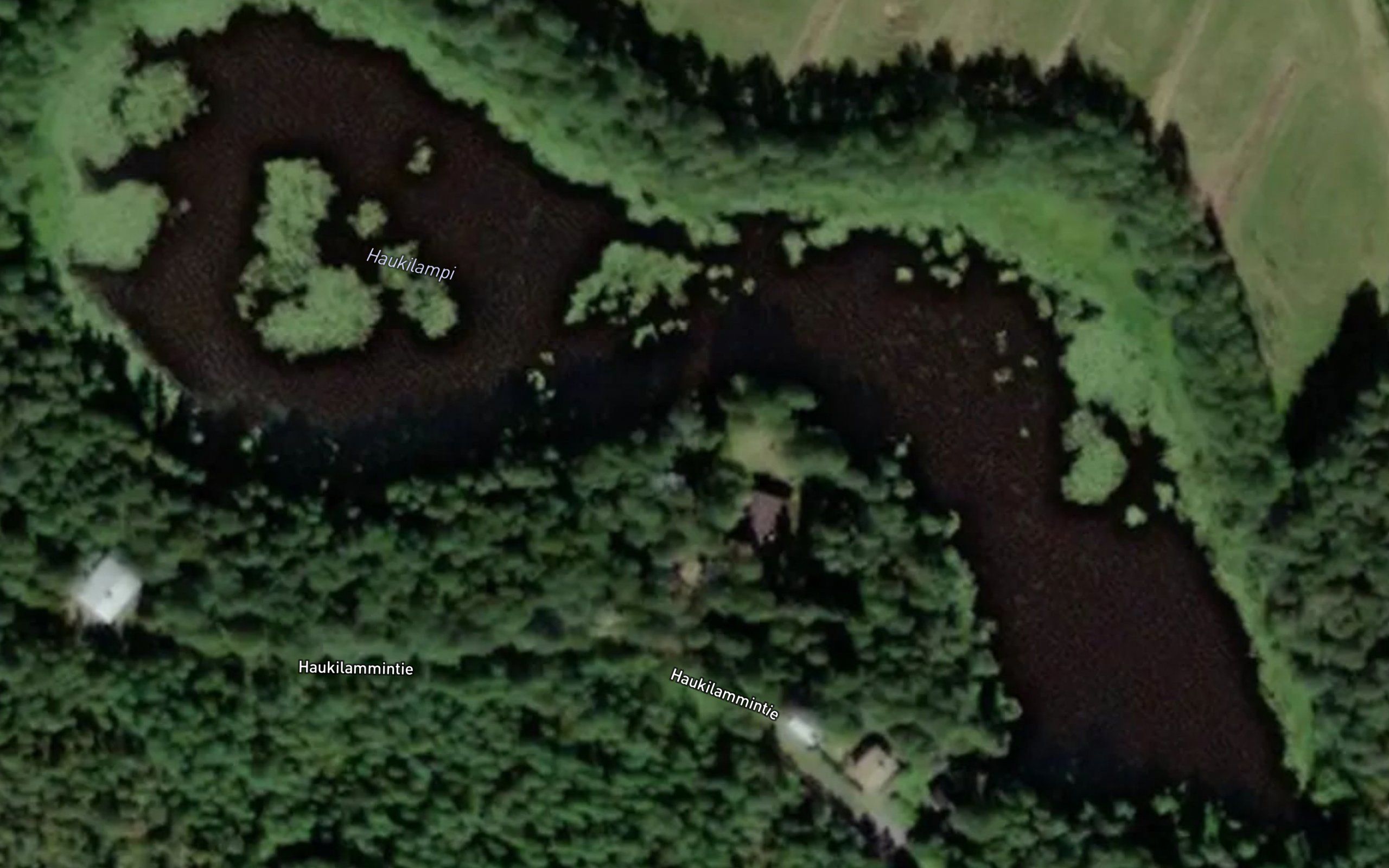 Haukilampi