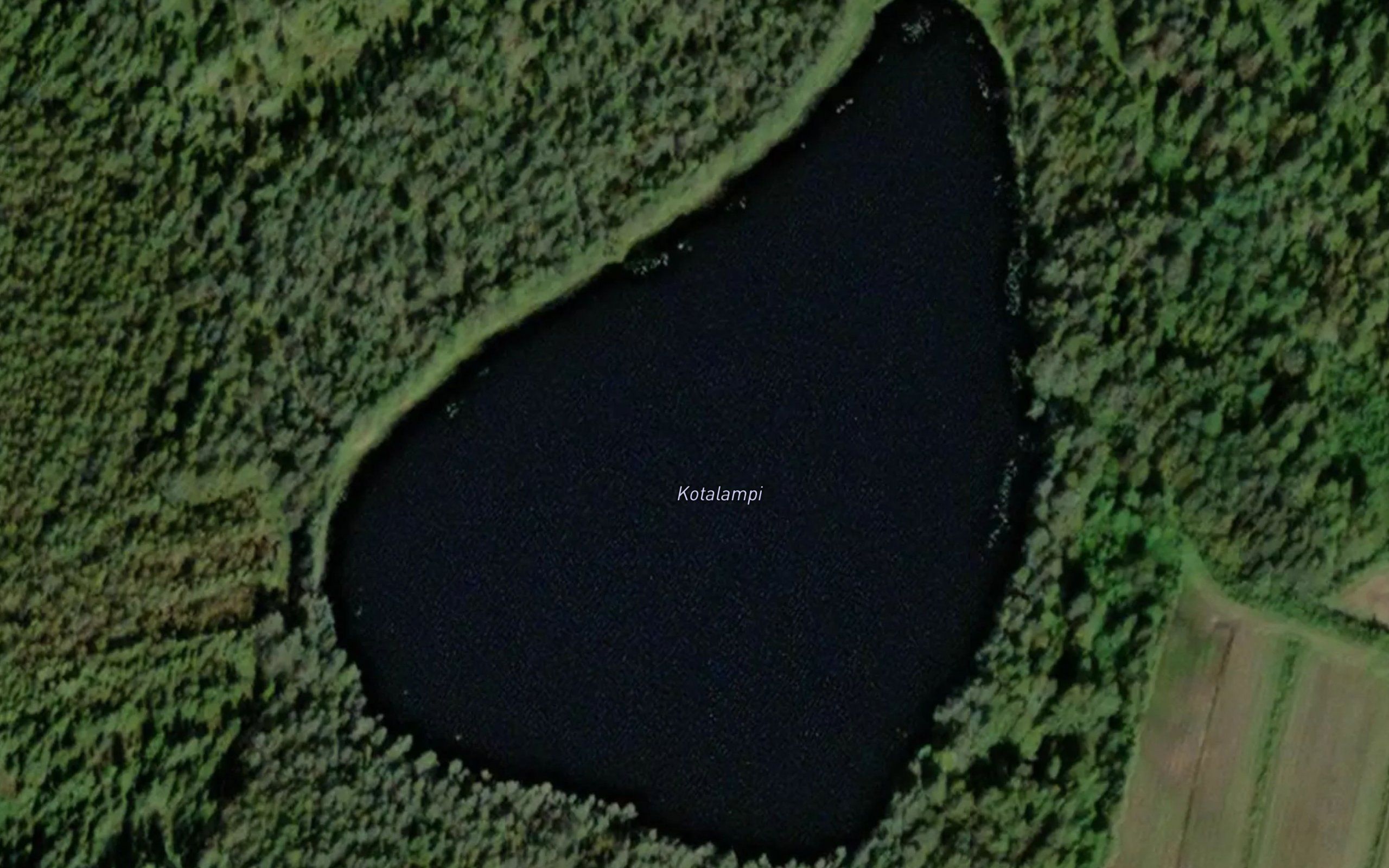 Kotalampi