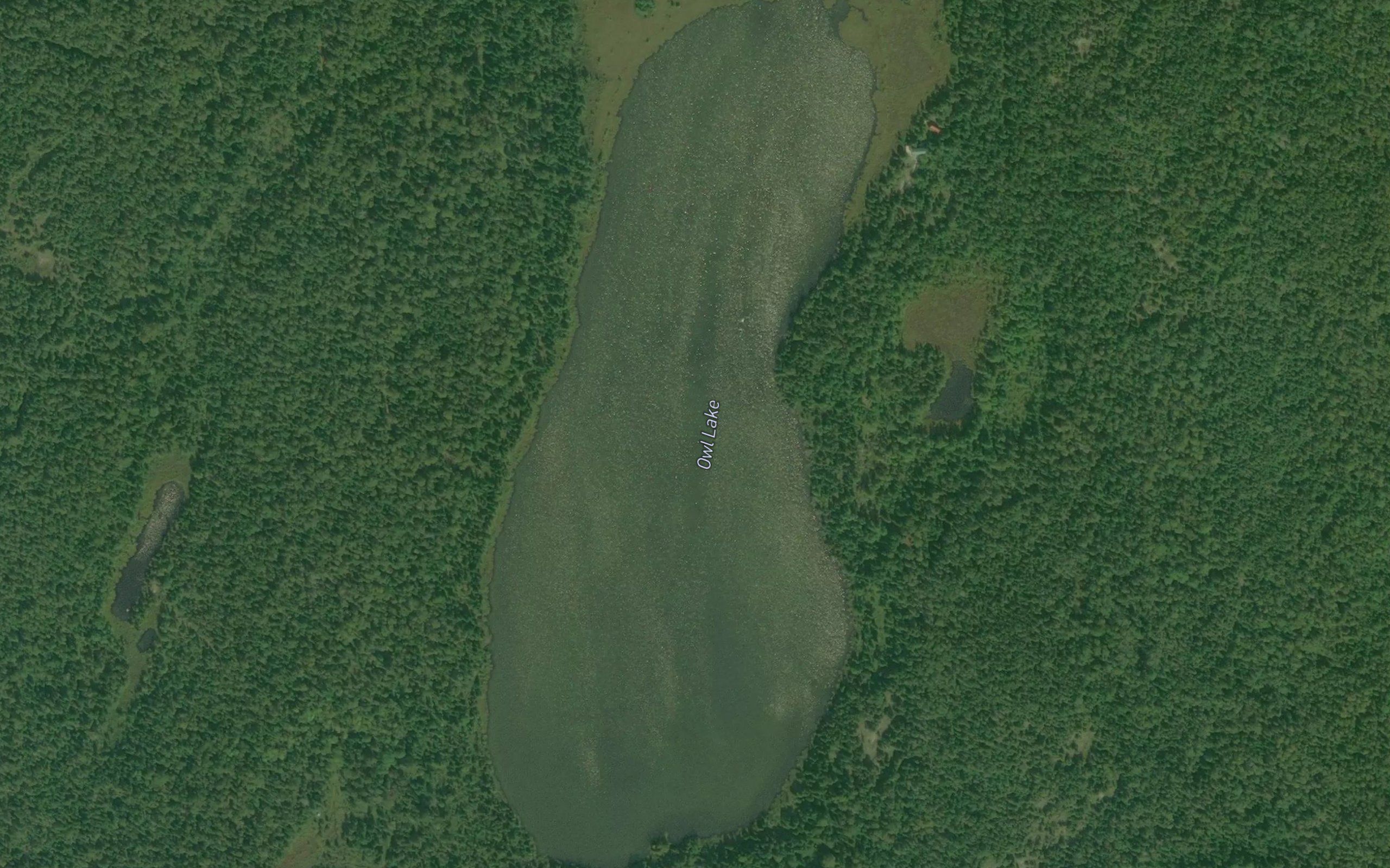 Owl Lake