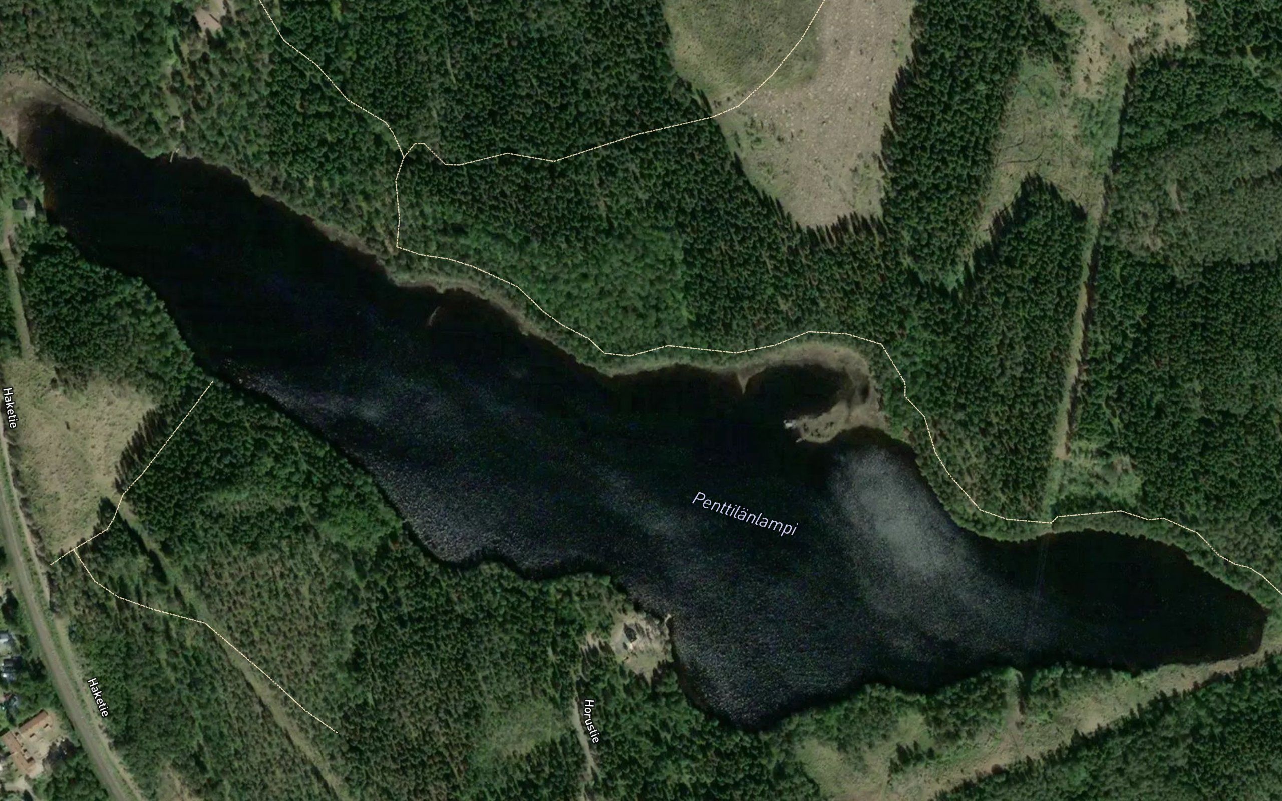 Penttilanlampi