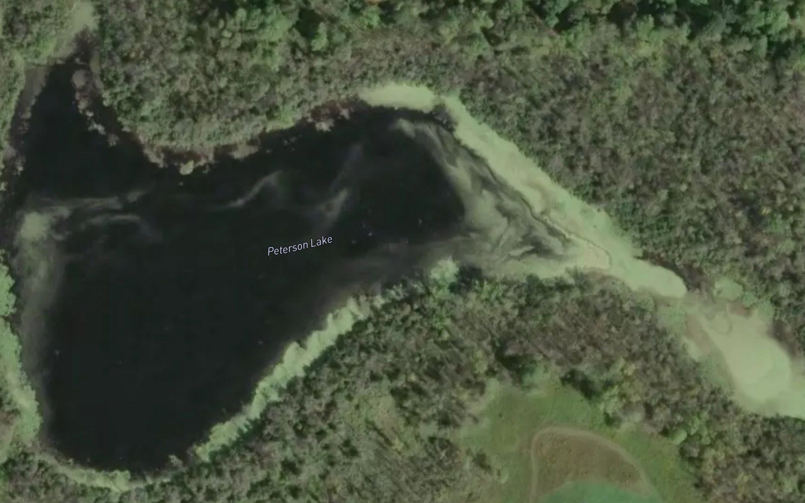 Peterson Lake