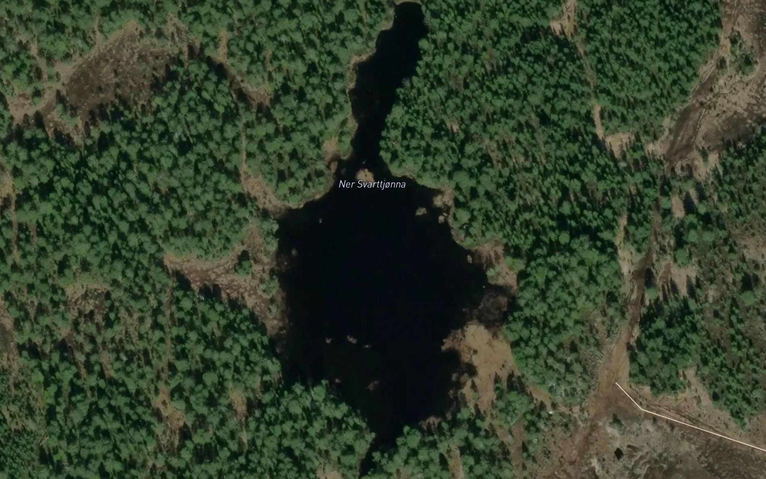 Ner Svarttjorna