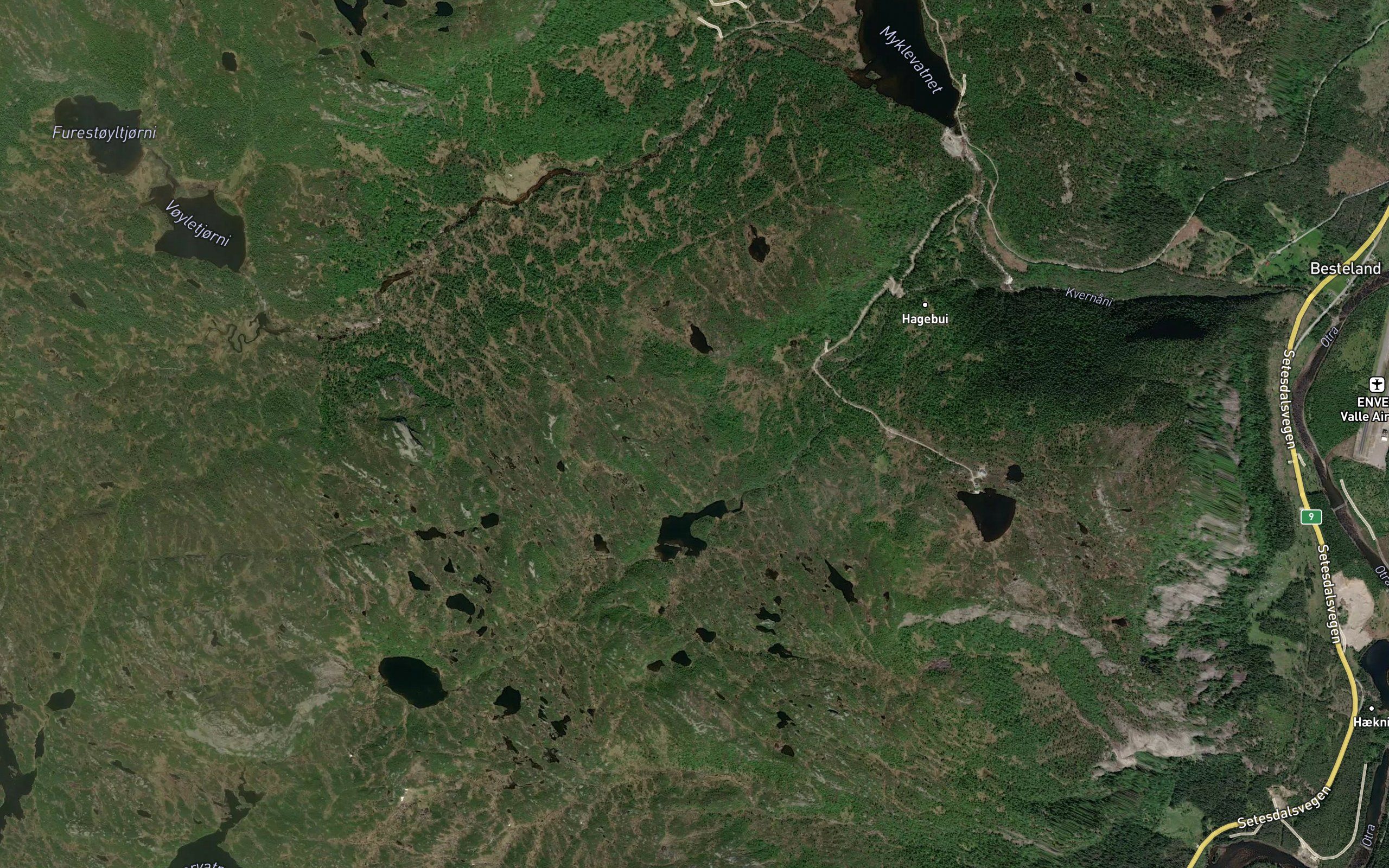 Vardetjorn