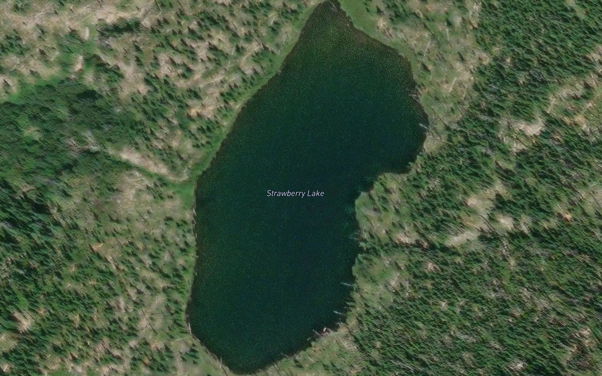 Strawberry Lake
