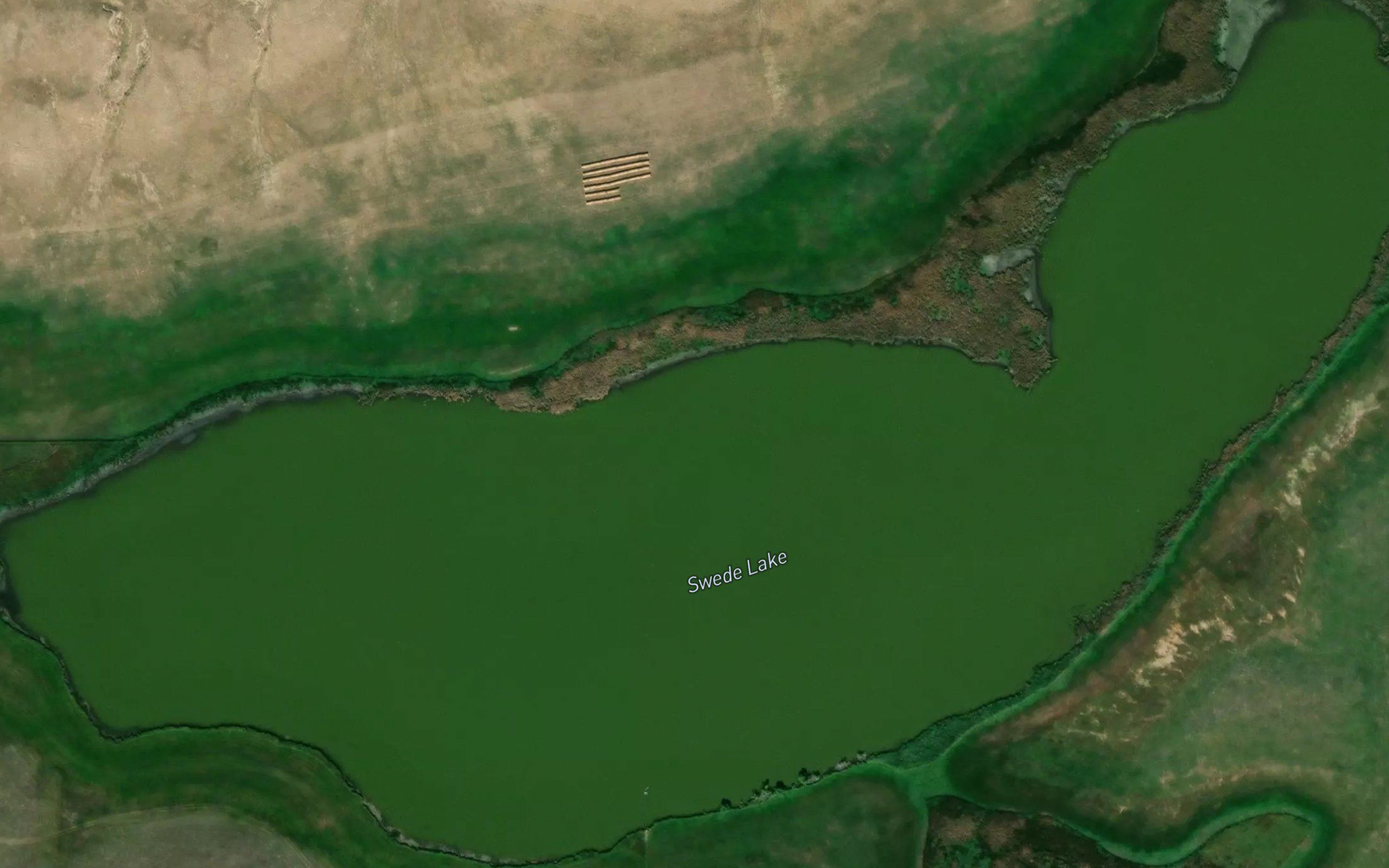 Swede Lake