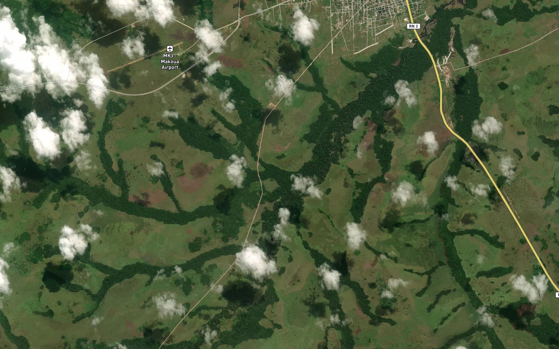 Satellite map of the Ebia