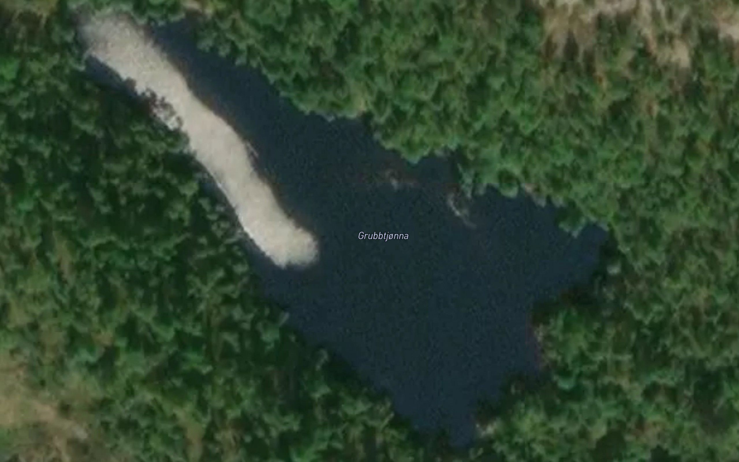 Grubbtjorna