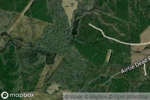 Reedy Creek
