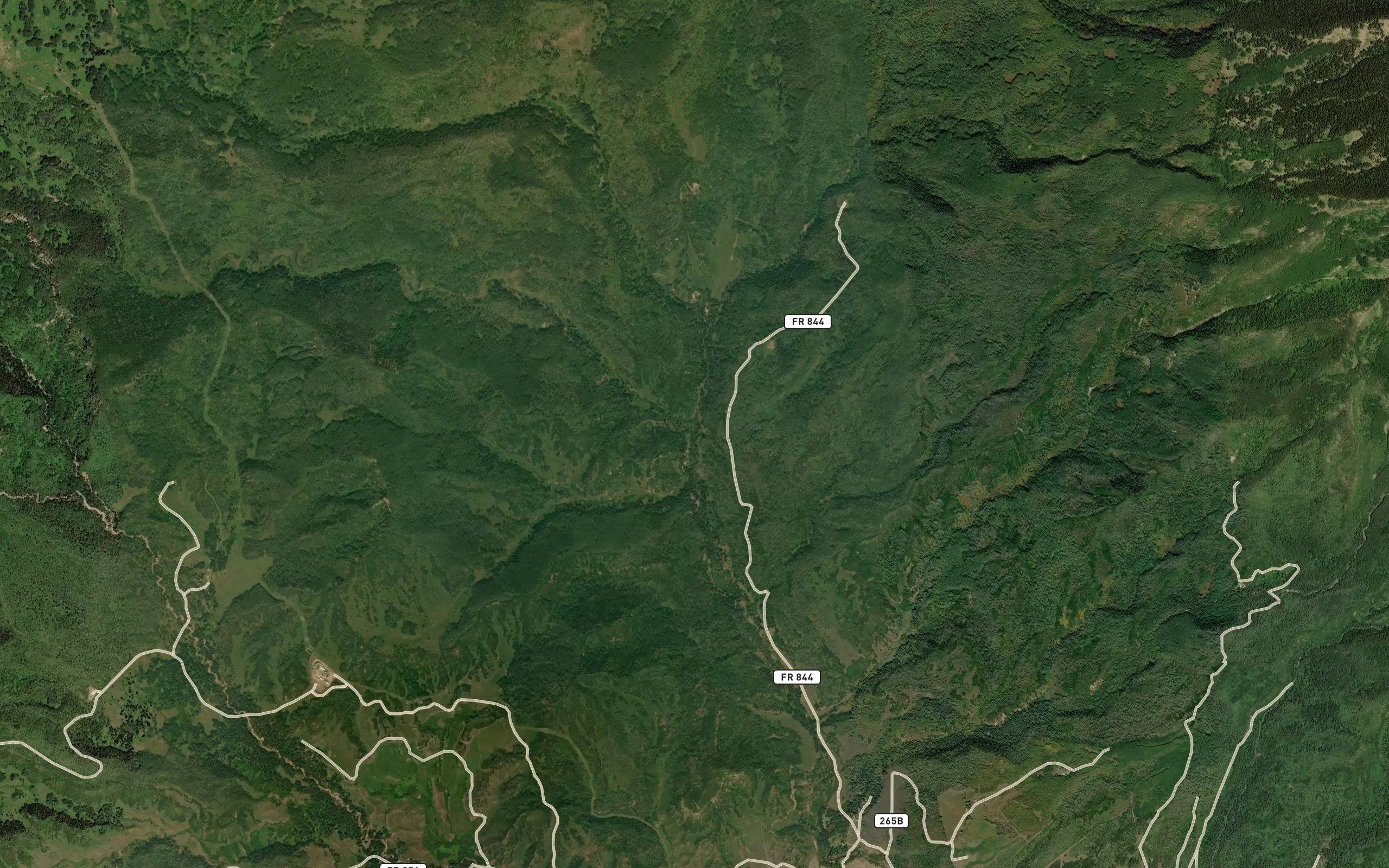 Baldy Creek