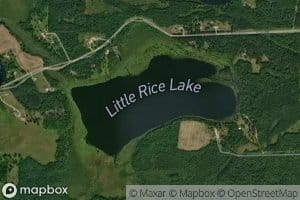 Little Rice Lake