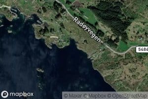 Skjeneviki