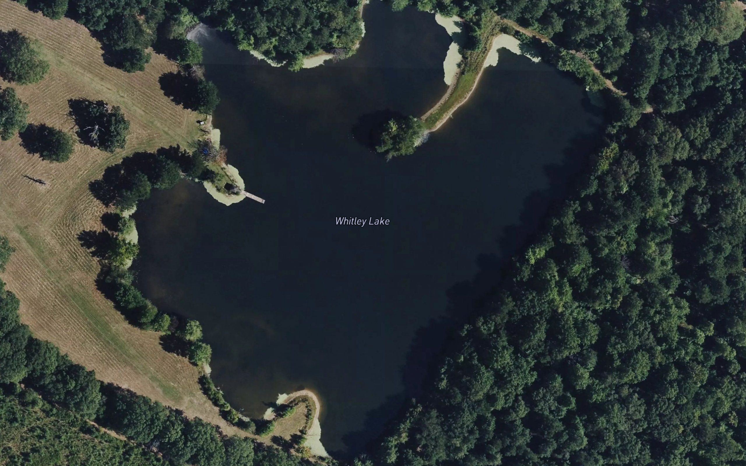 Whitley Lake