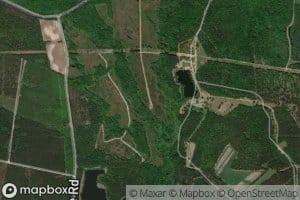 Indian Field Swamp