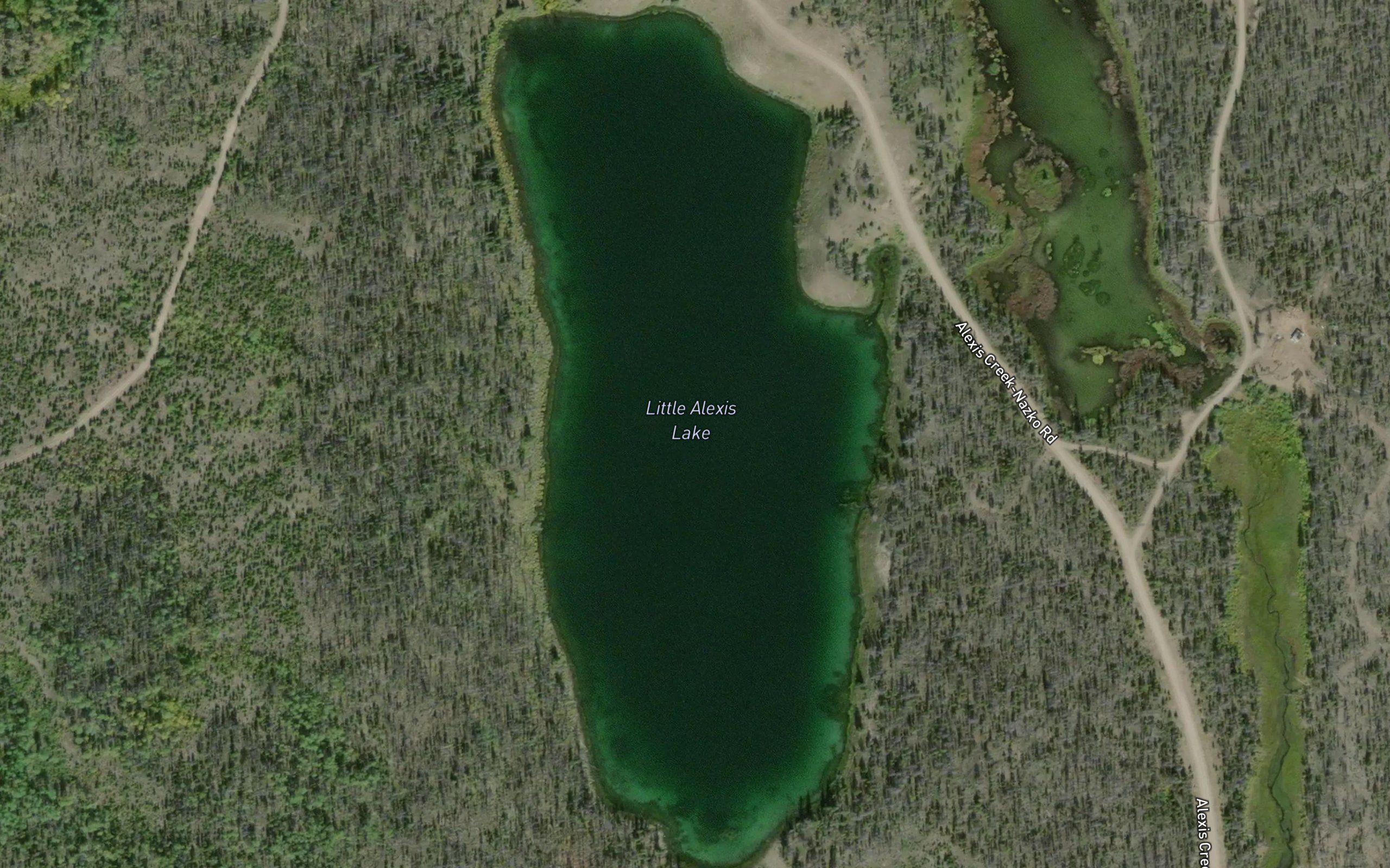 Little Alexis Lake