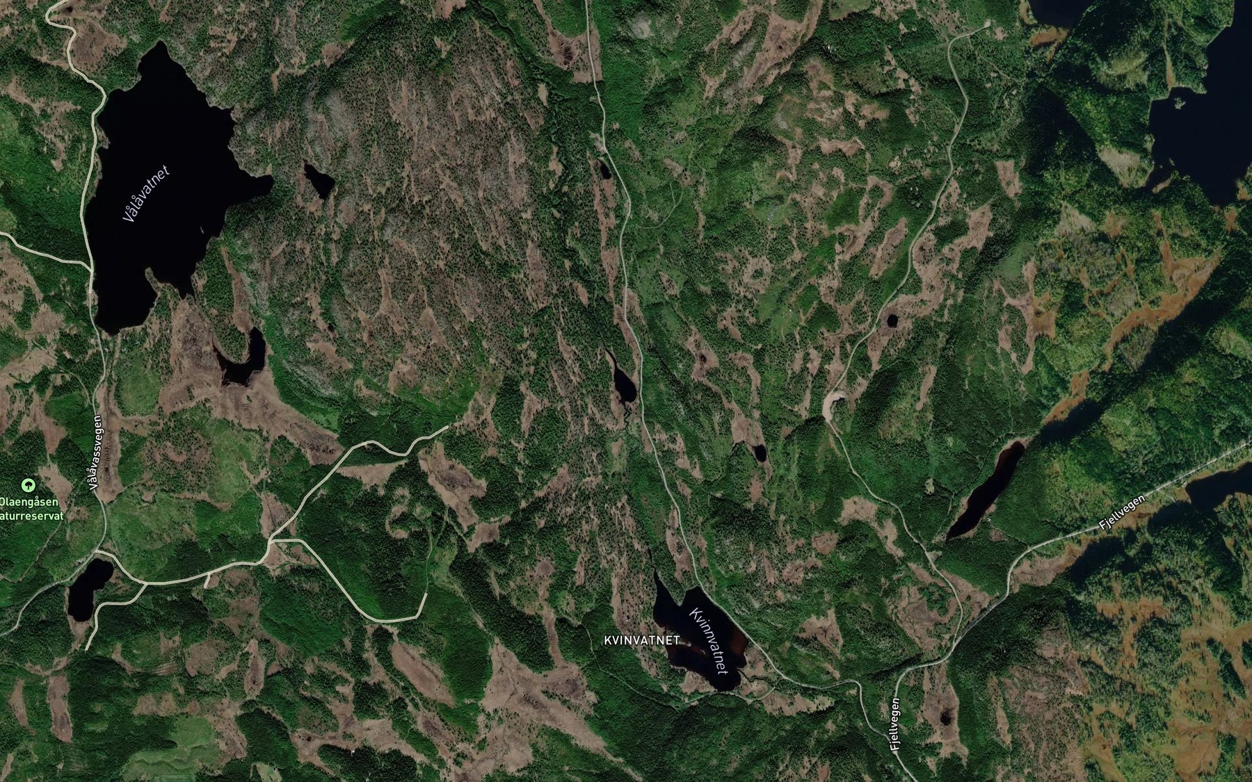 Satellite map of the Gaslona