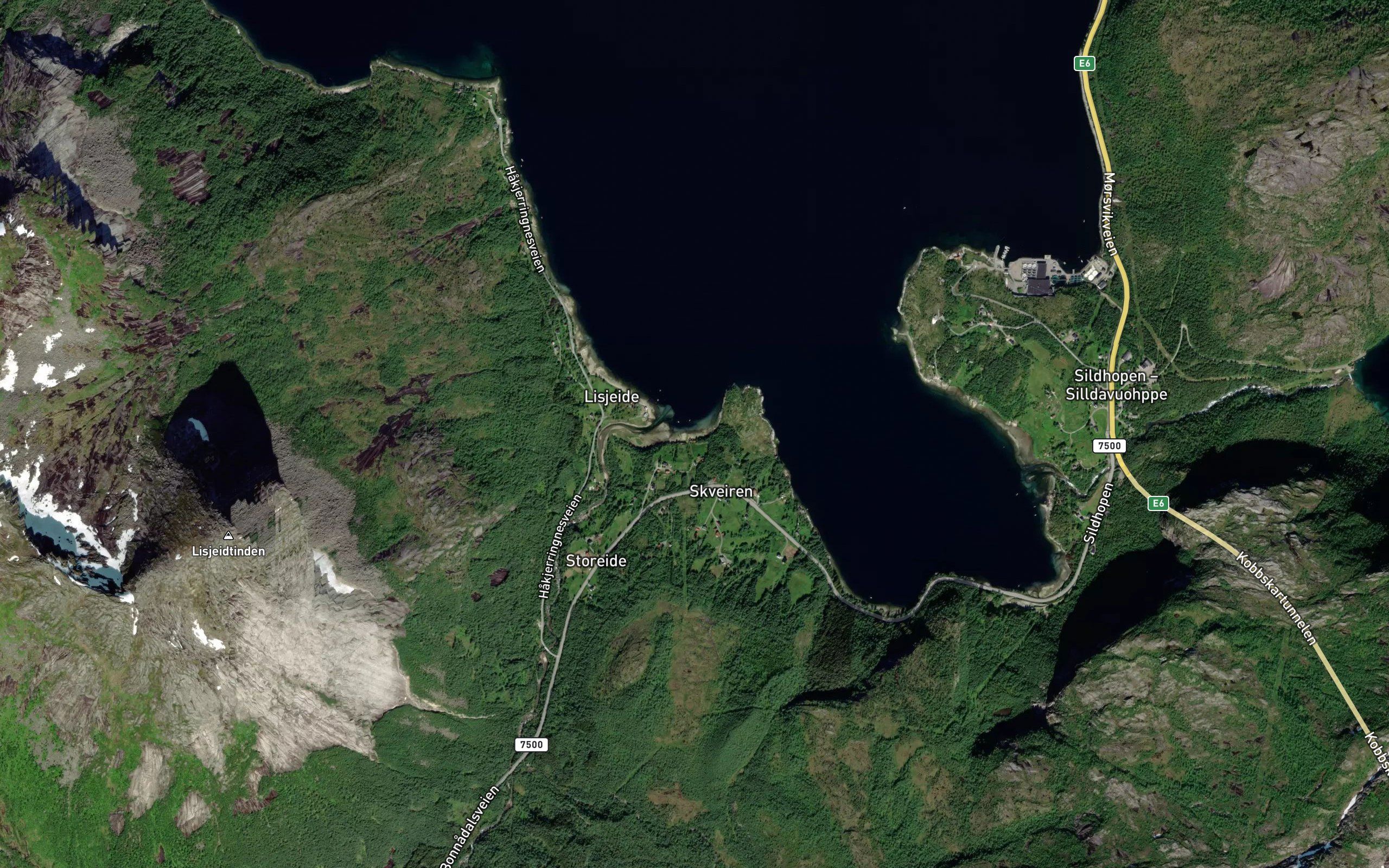 Storeidvika