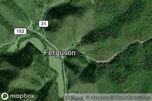 Apple Orchard Branch