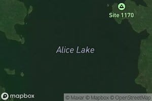Alice Lake