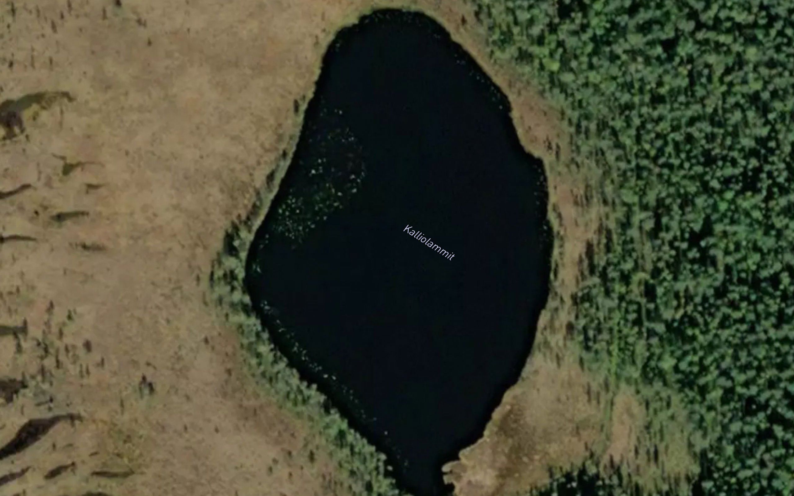 Kalliolammit
