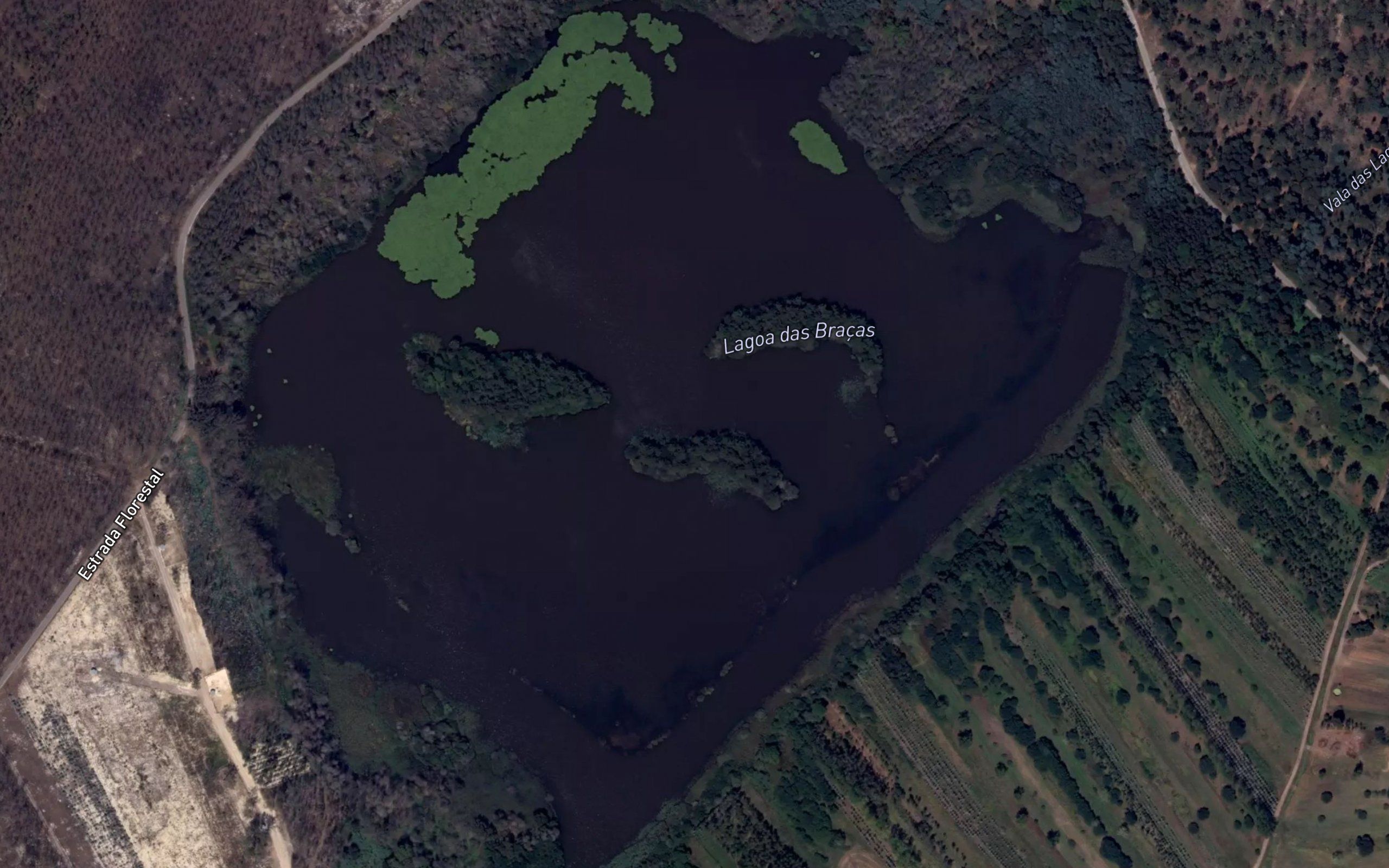 Lagoa dos Bracas