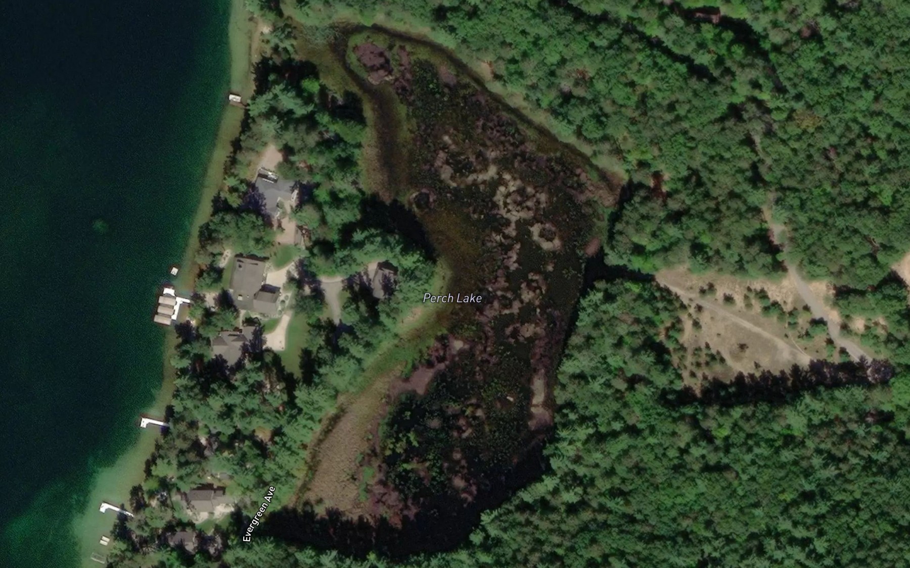 Satellite map of the Perch Lake