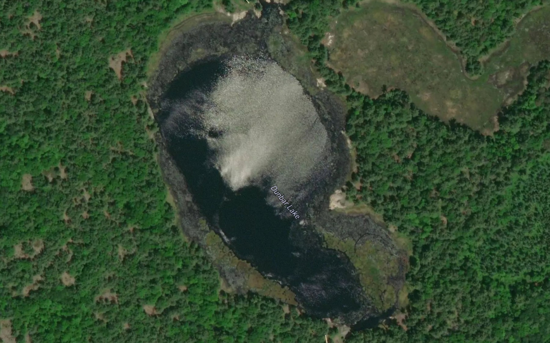 Satellite map of the Dunbar Lake