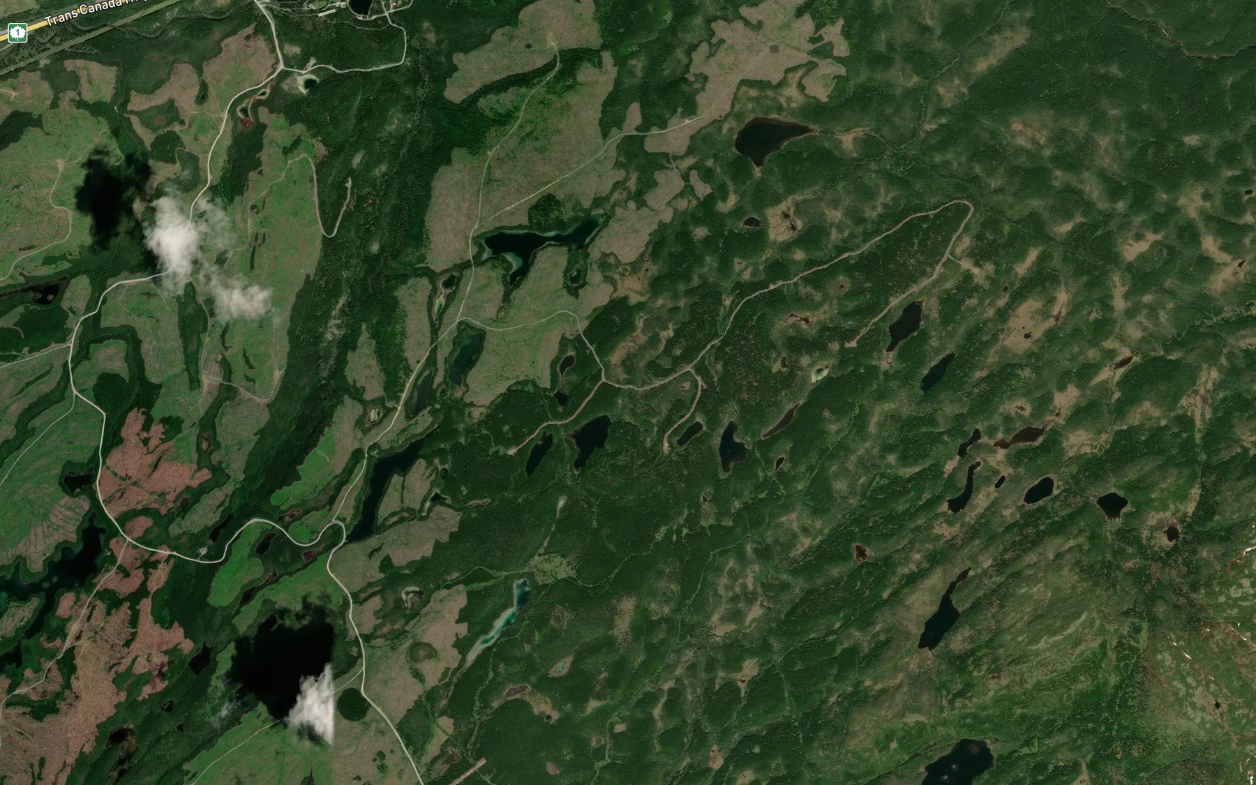 Satellite map of the Millie Pond