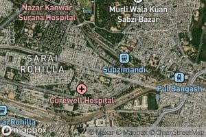 Delhi Tall Distributary