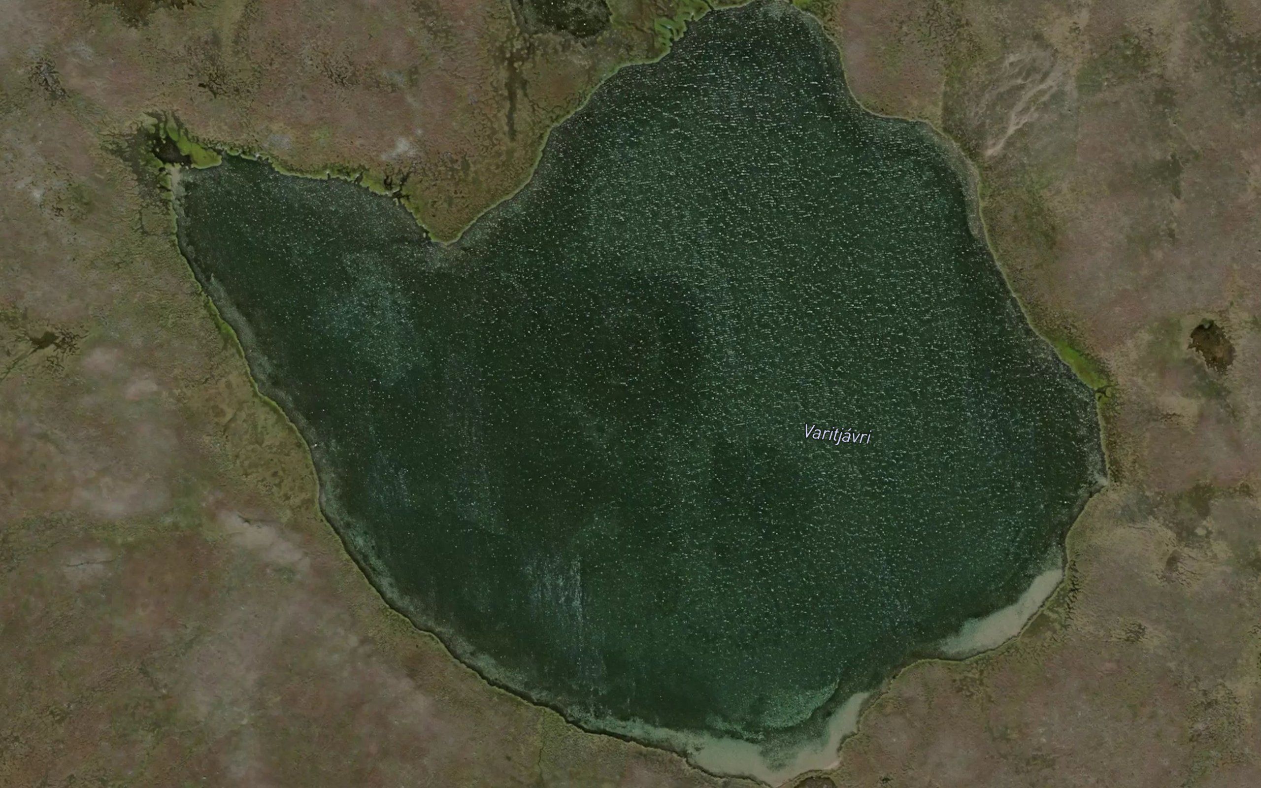 Varitjavri