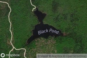 Black Pond