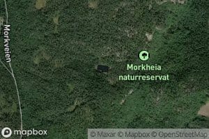 Morketjenn