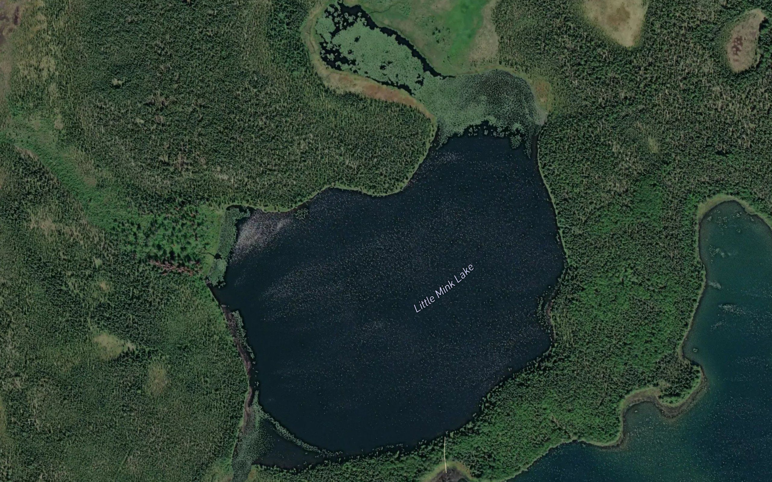 Little Mink Lake