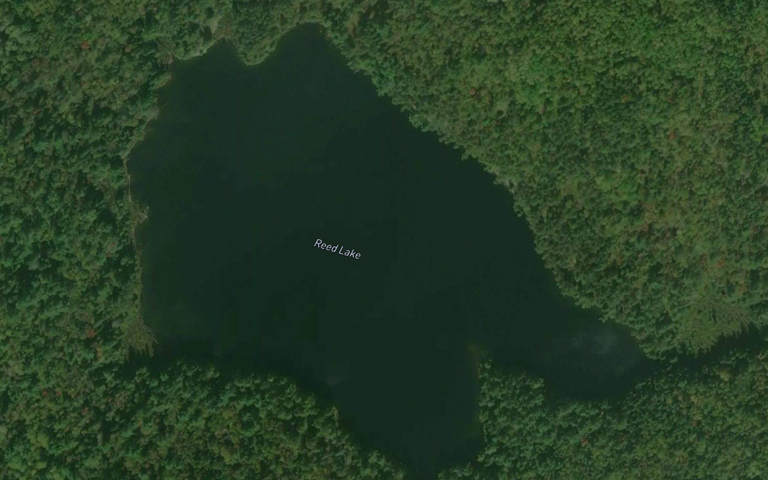 Reed Lake