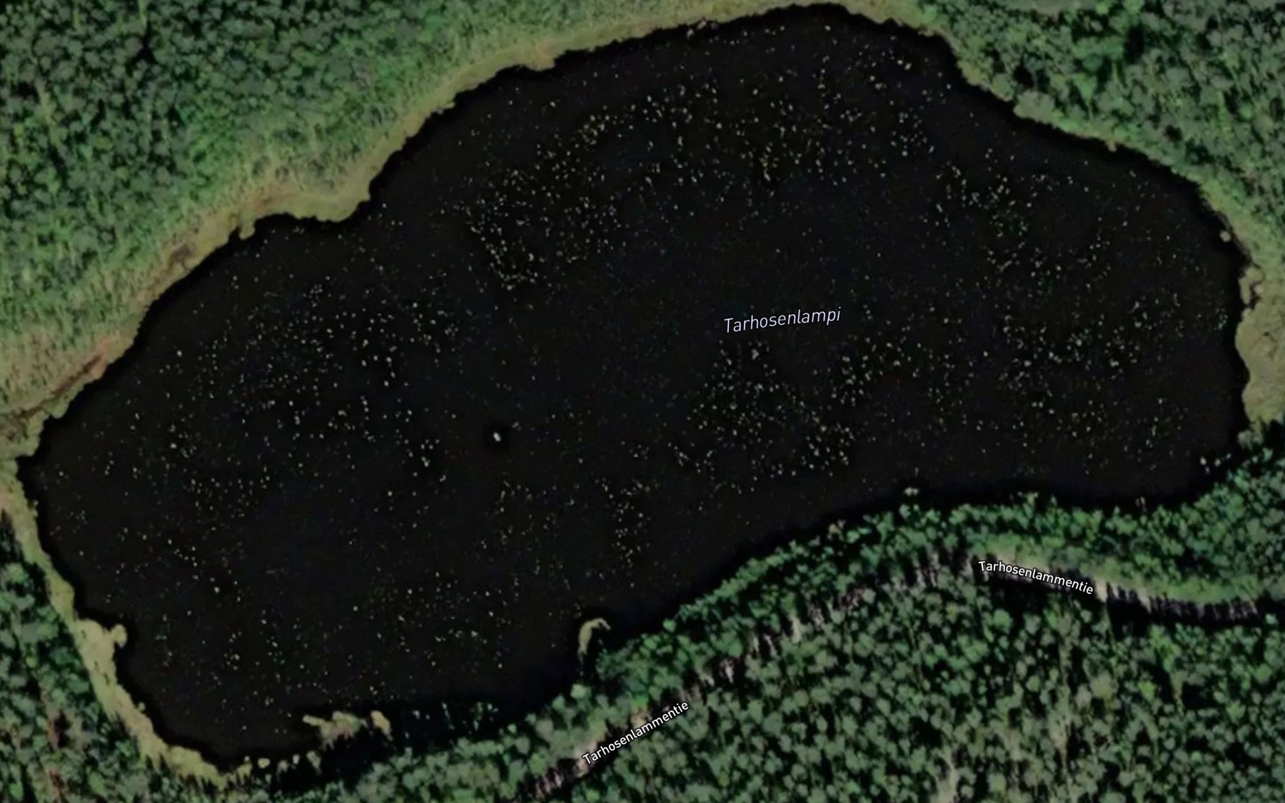 Satellite map of the Tarhosenlampi