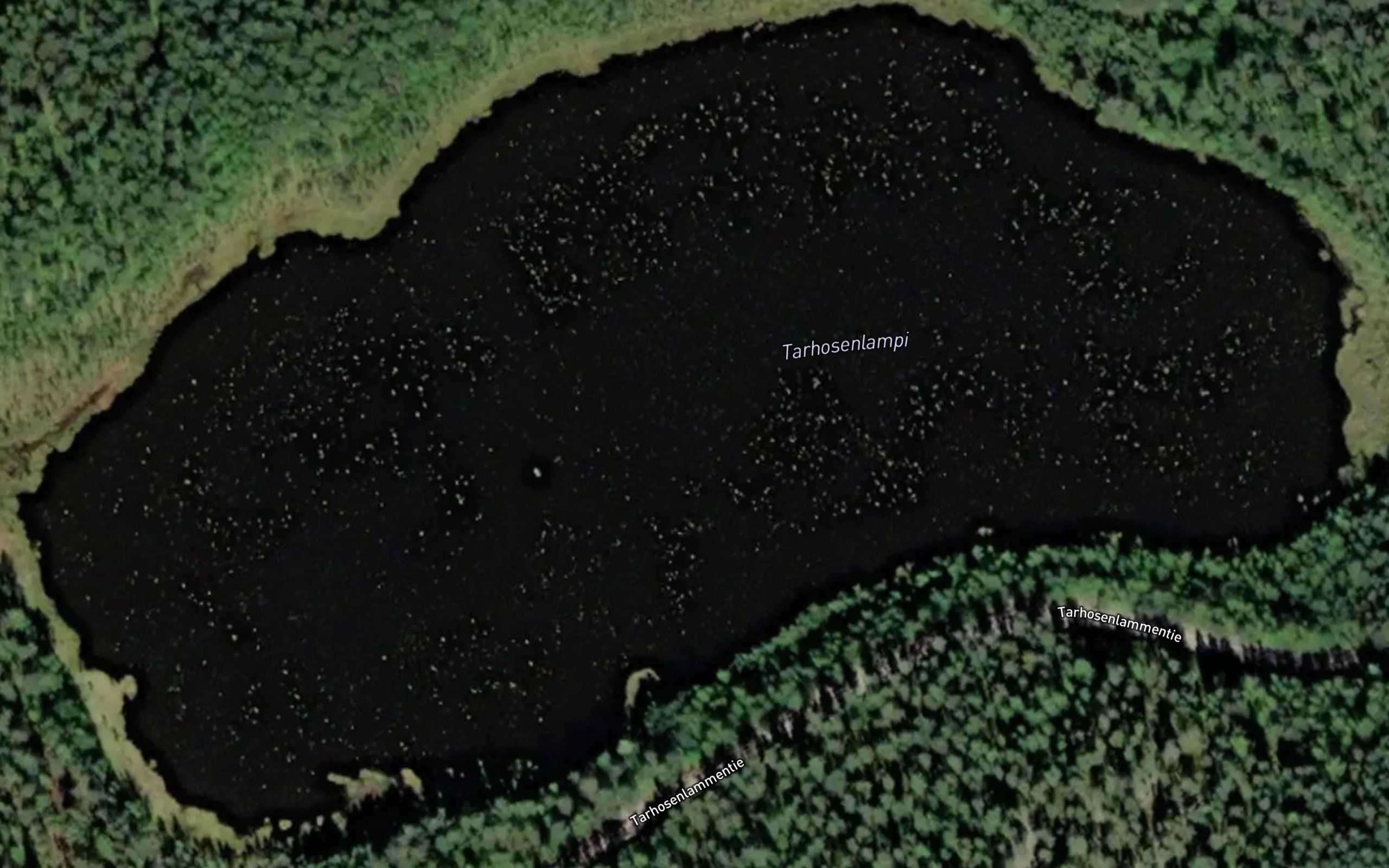 Tarhosenlampi